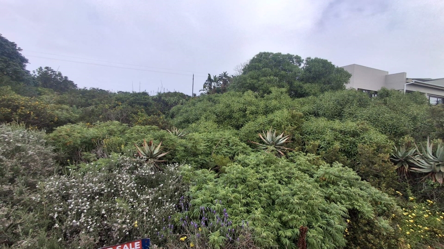 0 Bedroom Property for Sale in Vleesbaai Western Cape